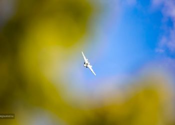 Пилотажная группа Соколы России